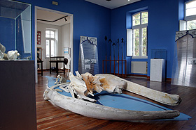 interior - Museo Provincial do Mar